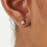 Cercei din aur cu diamante de 0.10 ct cu design floral